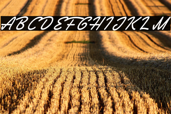 Society Editor Personal Use Example 2