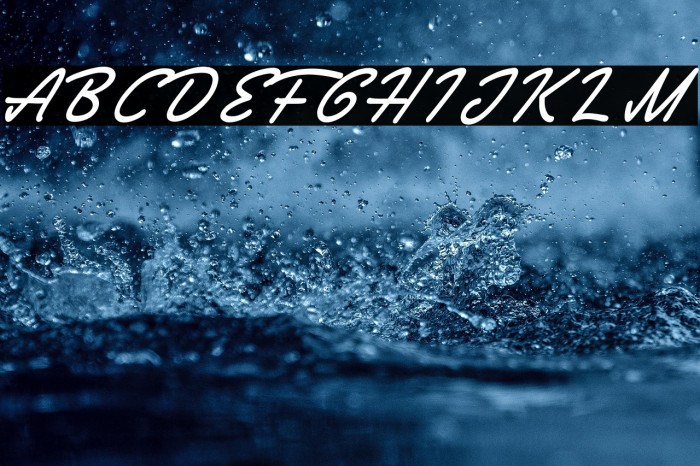 Society Editor Personal Use Example 3