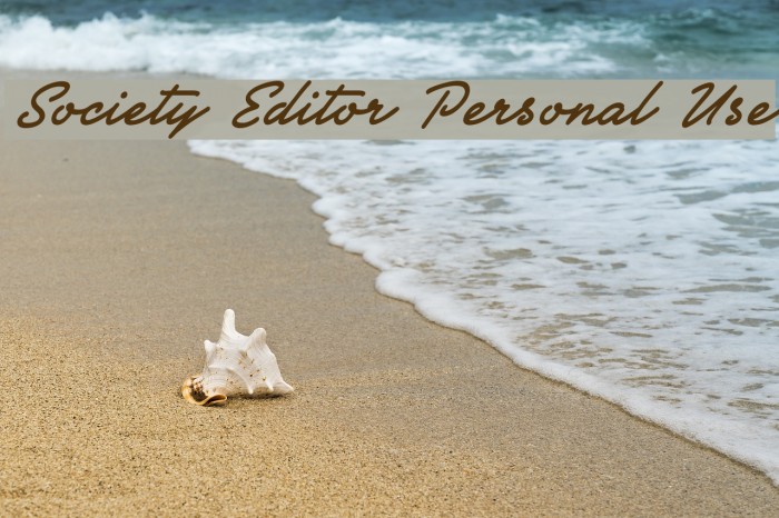 Society Editor Personal Use Font examples