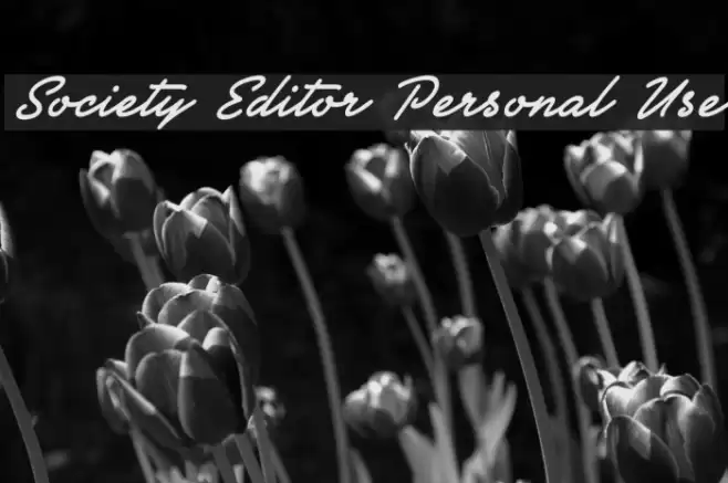 Society Editor Personal Use Font examples