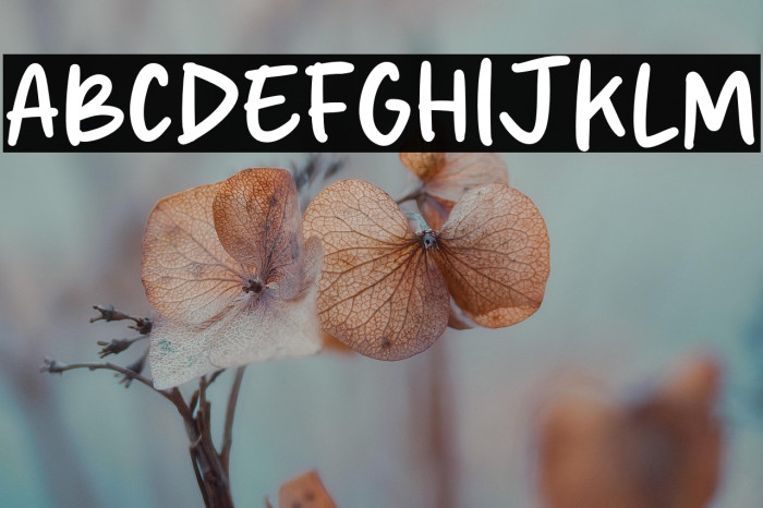 Soda Cream Example 1