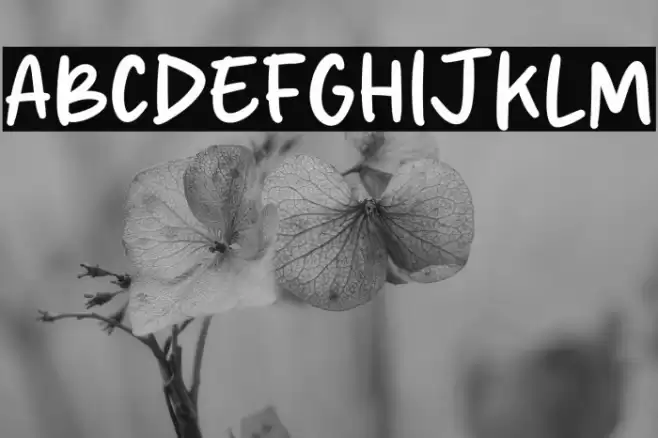 Soda Cream Font examples