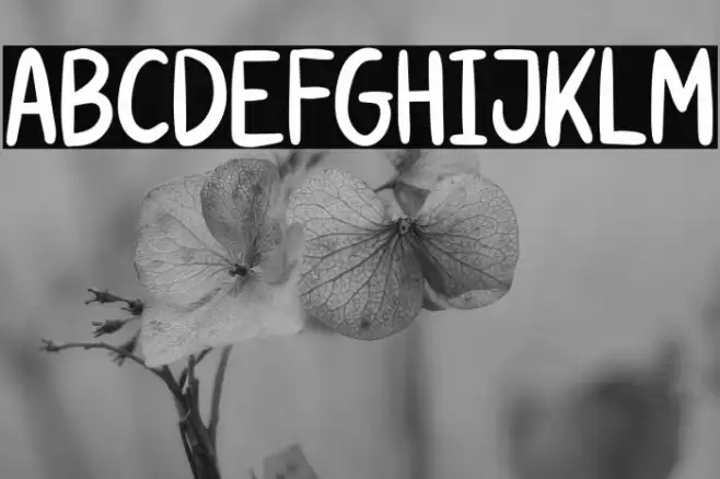 Soda Land Font examples