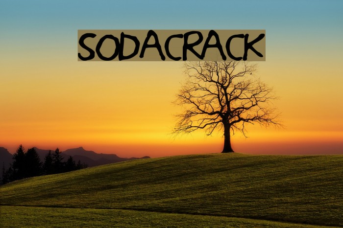 SodaCrack フォント examples