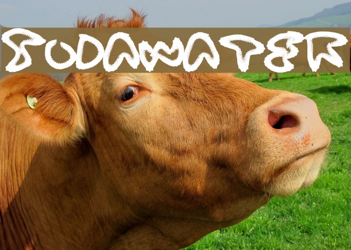 SodaWater Шрифта examples