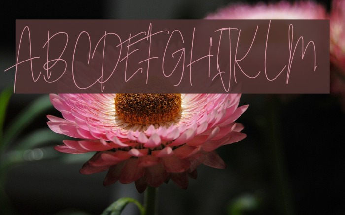 SoderaPersonalUse Example 2