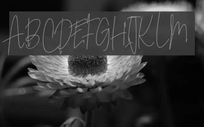 SoderaPersonalUse Font examples