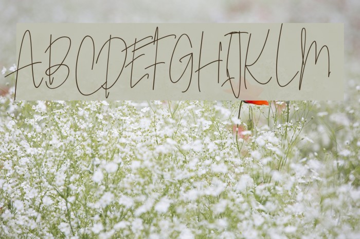 SoderaPersonalUse Example 3