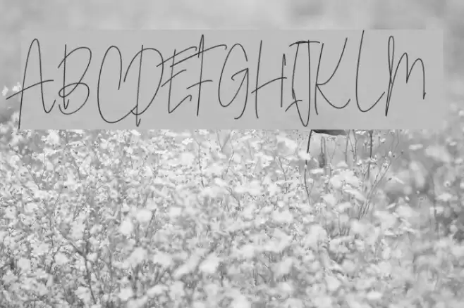 SoderaPersonalUse Font examples