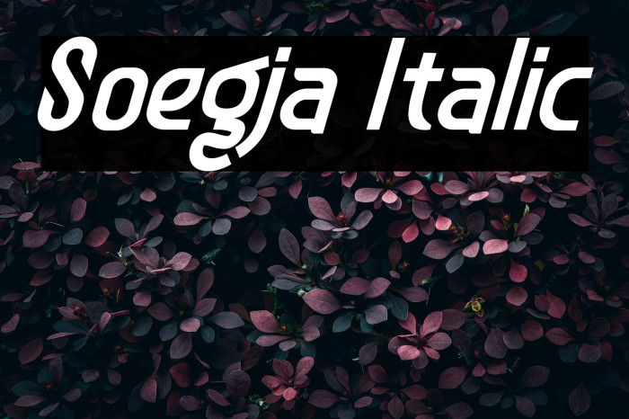 Soegja Italic Example 1