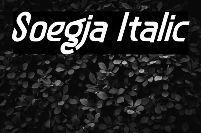 Soegja Italic Font examples