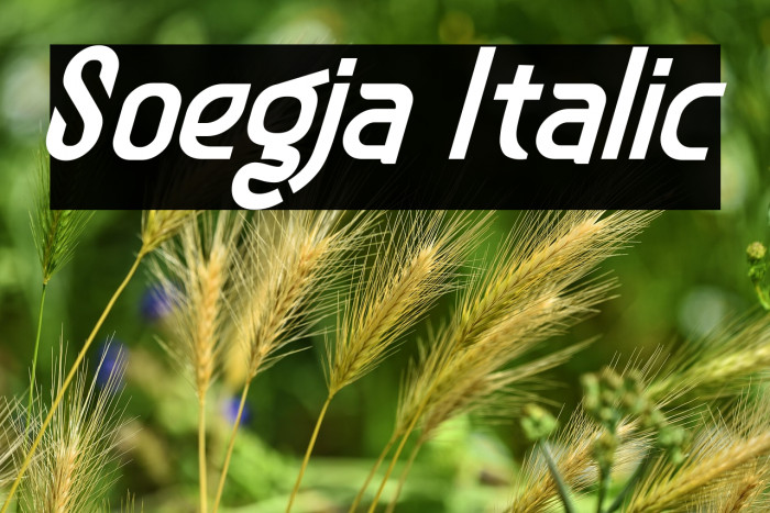 Soegja Italic Example 3