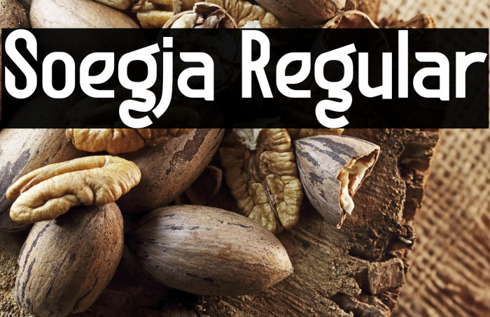 Soegja Regular Example 1