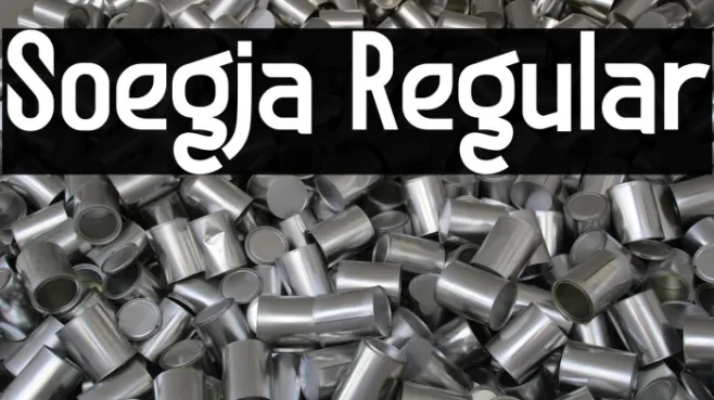 Soegja Regular Example 2