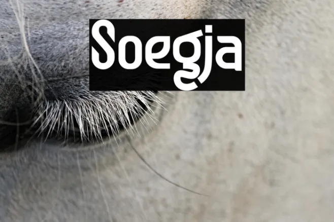 Soegja Example 1