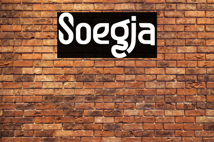 Soegja Example 3
