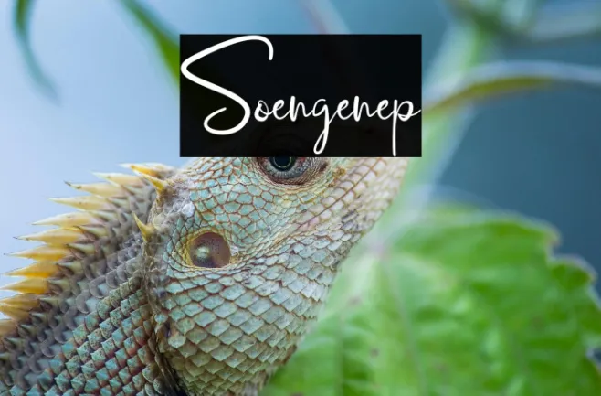 Soengenep Example 1