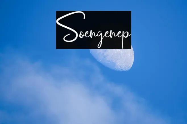 Soengenep Example 3