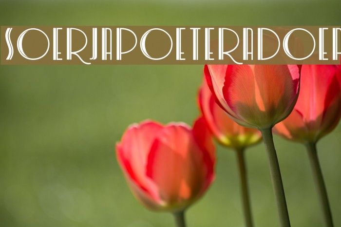 SoerjapoeteraDoea Example 2