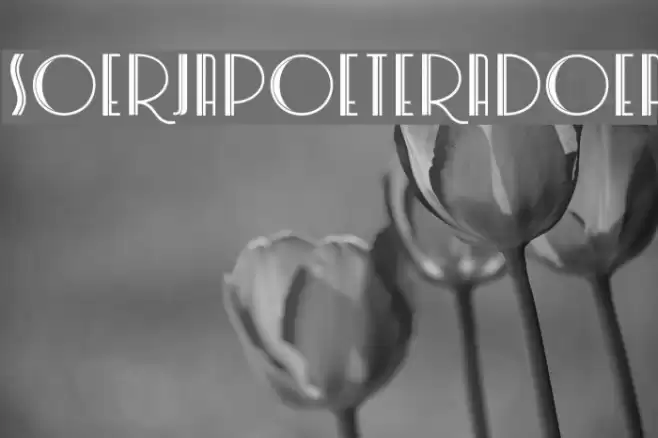 SoerjapoeteraDoea Font examples