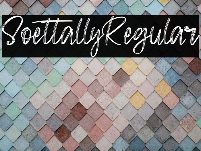 SoettallyRegular Example 1