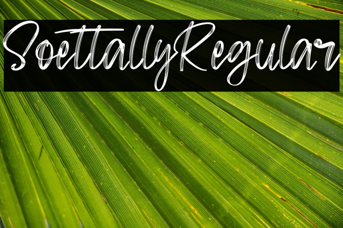 SoettallyRegular Example 2