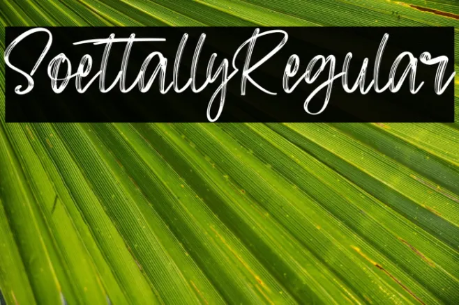 SoettallyRegular Example 2