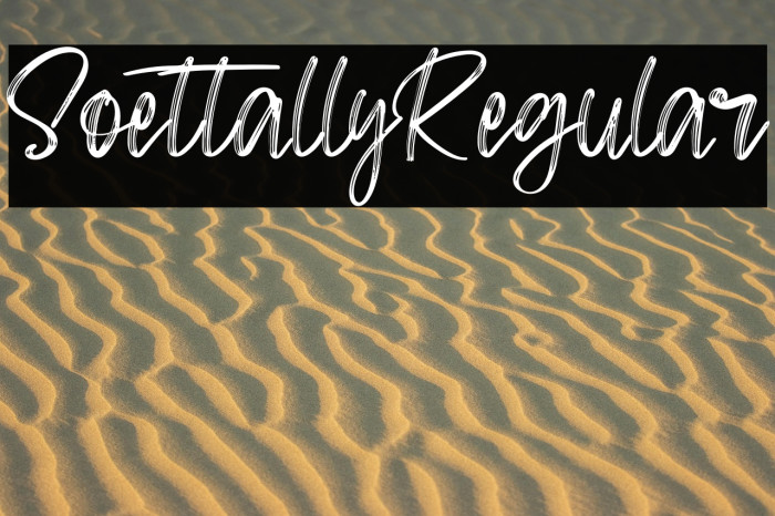 SoettallyRegular Example 3