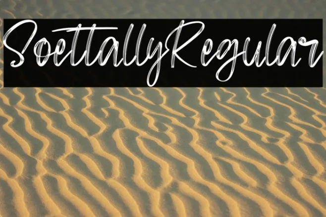 SoettallyRegular Example 3