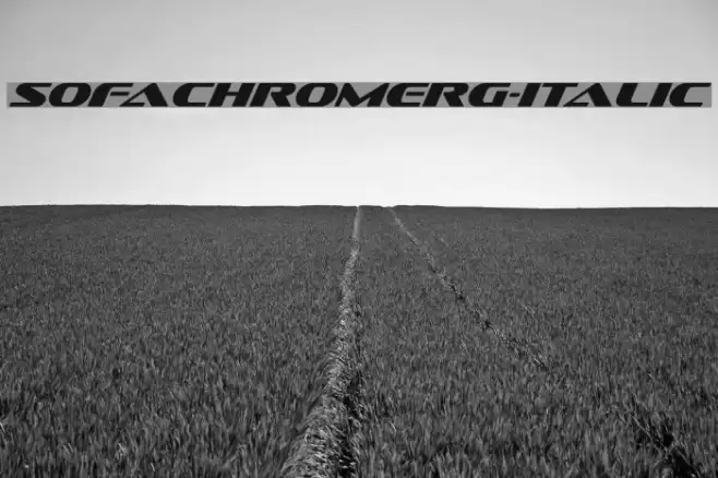 SofachromeRg-Italic Font examples