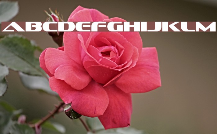 Sofachrome Font examples