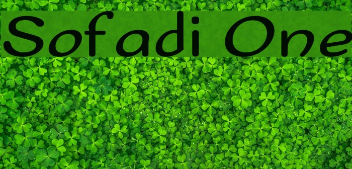 Sofadi One Example 1