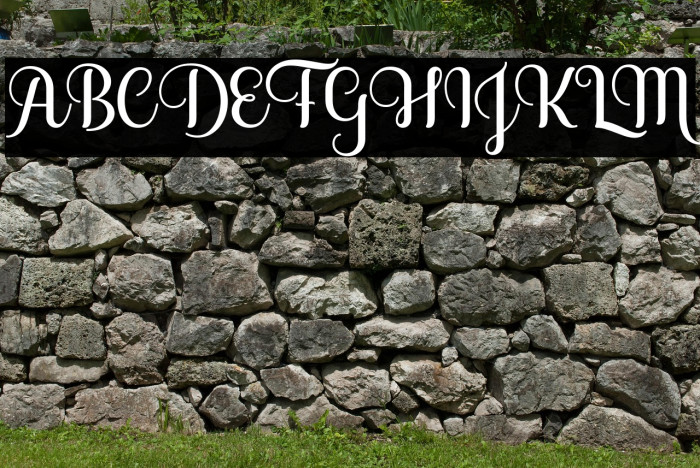 SoffiaScript Example 1