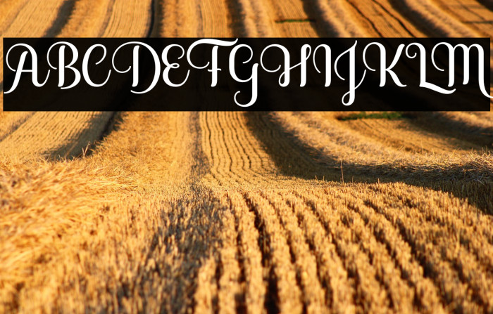 SoffiaScript Example 1