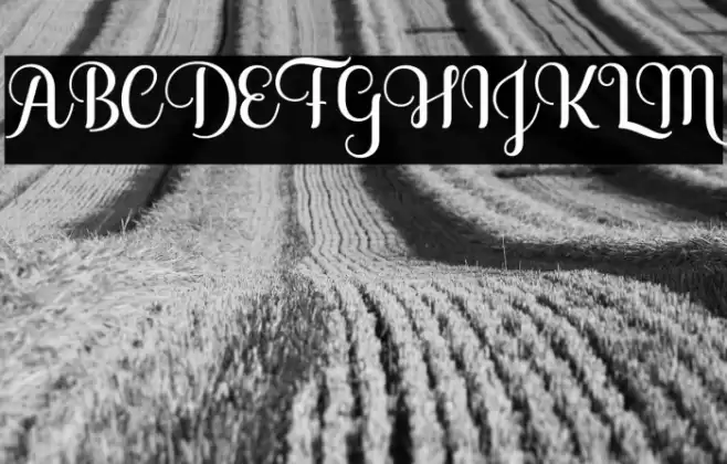 SoffiaScript Font examples