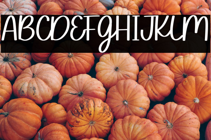 Sofia Carolyn Example 3