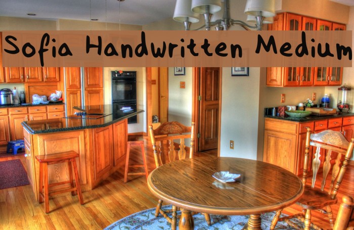 Sofia Handwritten Medium Example 1