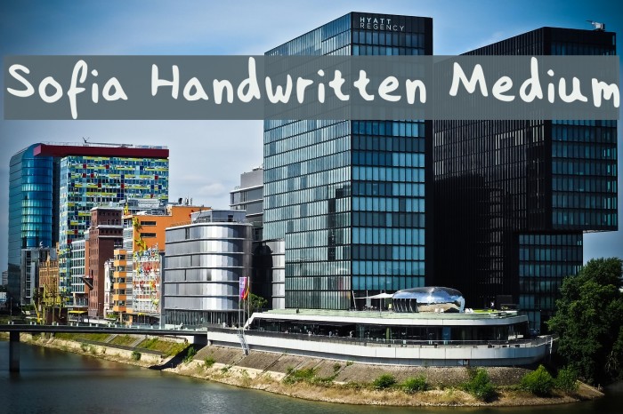 Sofia Handwritten Medium Example 3