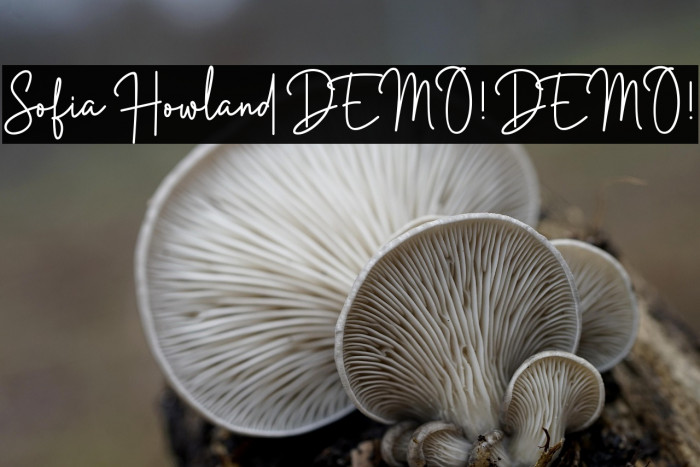 Sofia Howland DEMO! DEMO! Example 1