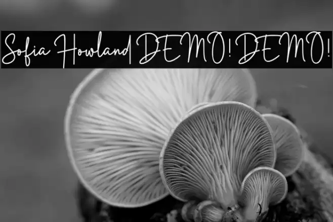Sofia Howland DEMO! DEMO! Caratteri examples