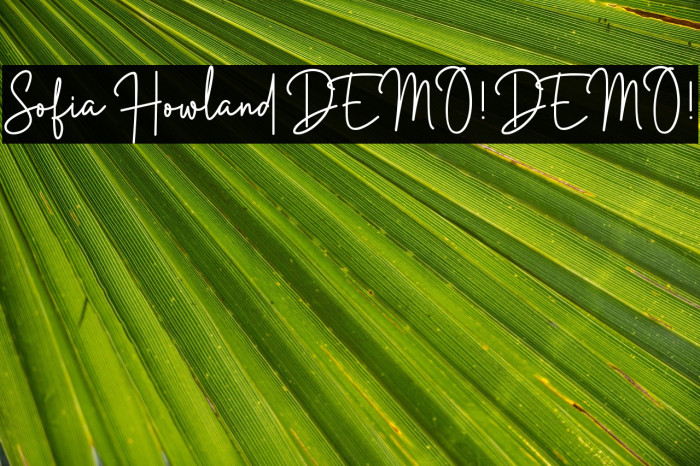 Sofia Howland DEMO! DEMO! Example 3