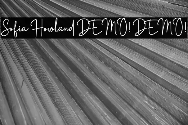 Sofia Howland DEMO! DEMO! Caratteri examples