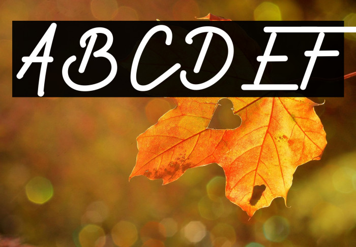 Sofia More Example 1