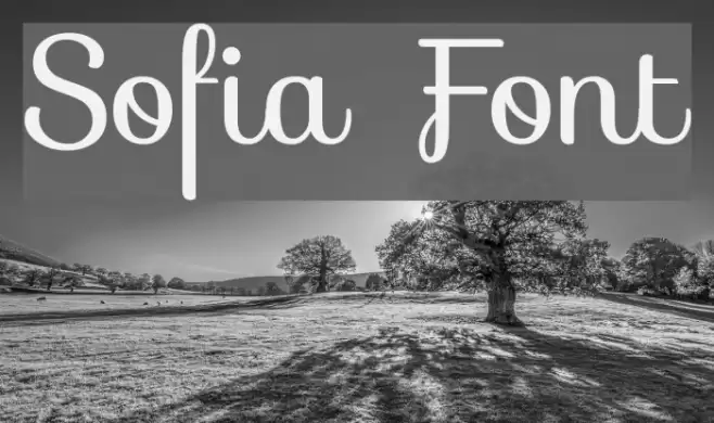 Sofia Font examples