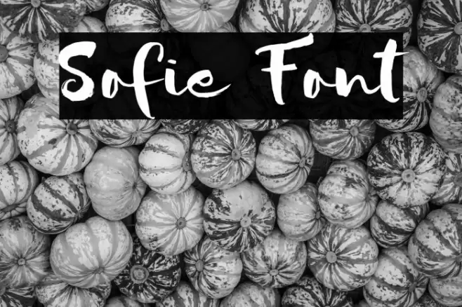 Sofie Font examples