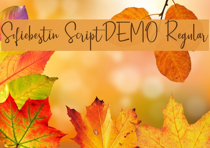 Sofiebestin Script_DEMO Regular Font examples