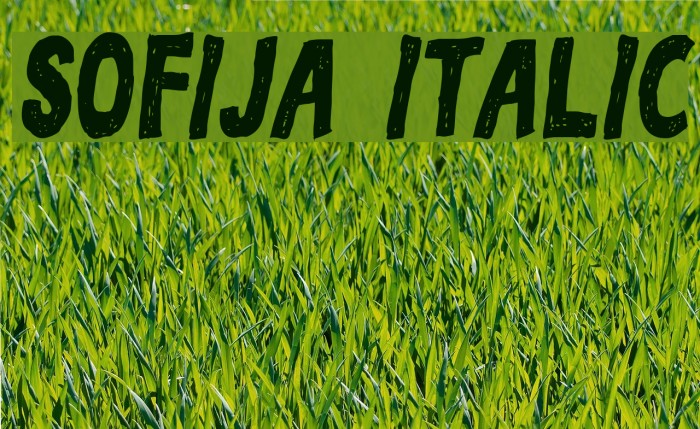 Sofija Italic Font examples