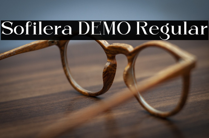 Sofilera DEMO Regular Example 2
