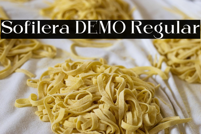Sofilera DEMO Regular Example 3