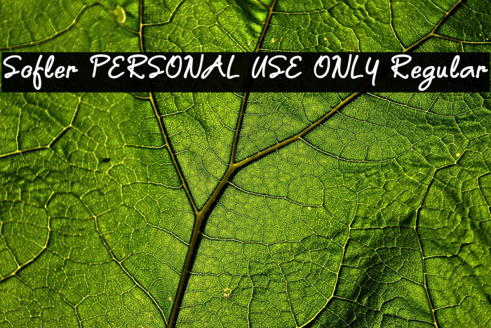 Sofler PERSONAL USE ONLY Regular Example 1